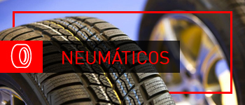 Neumáticos